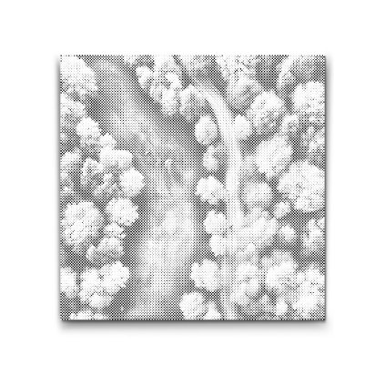 M2_Dotting_Points_-_Autumn_Collage