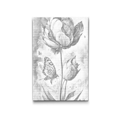 M2_Dotting_Points_-_A_blue_butterfly_and_colourful_tulip