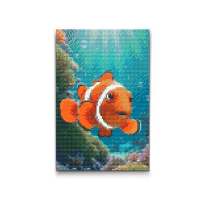 M2_Diamond_Paintings_-_Clownfish_