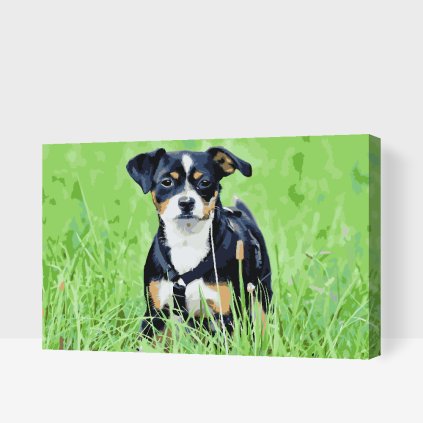 Paint by Number - Puppy in the Grass