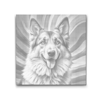 M2_Dotting_Points_-_German_Shepherd_in_shades_of_pink