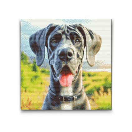 M2_Diamond_Paintings_-_Great_Dane