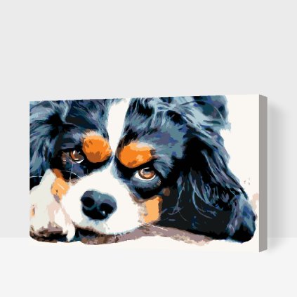 Paint by Number - Thougtful Dog