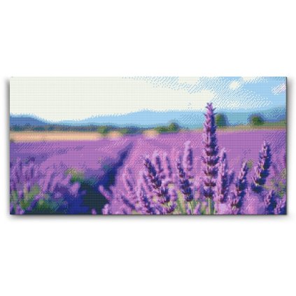 M2_Diamond_Paintings_-_Lavender_field