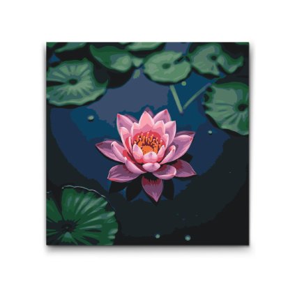 M2_Painting_by_Numbers_-_Pink_lotus_flower