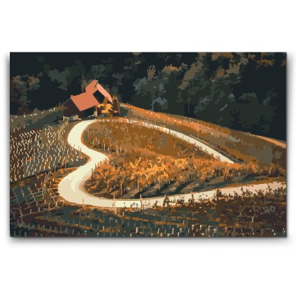 Slikanje po brojevima - Vinograd uz cestu u obliku srca, Maribor - Slovenija