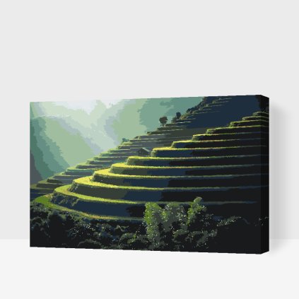 Paint by Number - Bali Rice Field