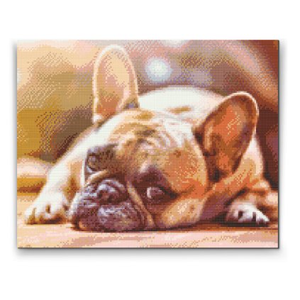 Diamond Painting - Bulldog