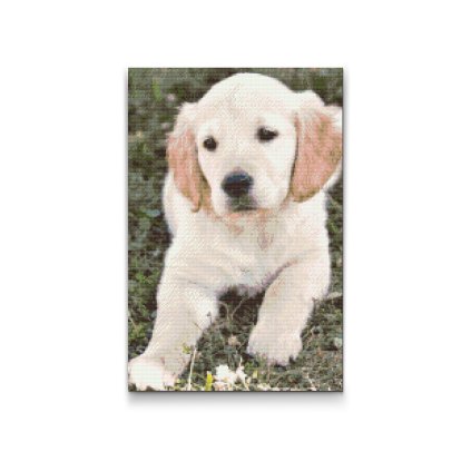 Diamond Painting - Labrador Puppy