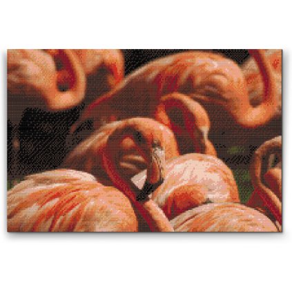 Diamond Painting - Flamingos 2