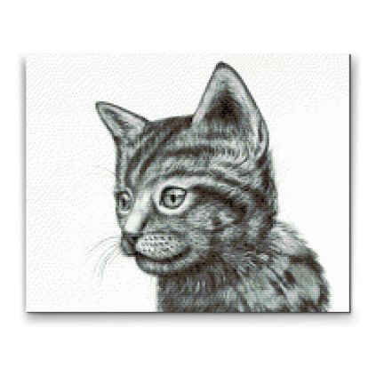 Diamond Painting - Cute Black and White Kitten