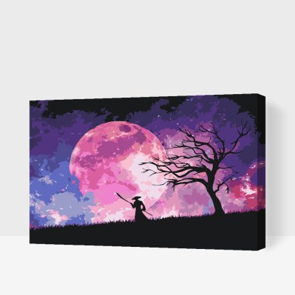 Paint by Number - Samuraj