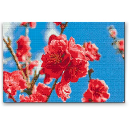 Diamond Painting - Peach Blossom