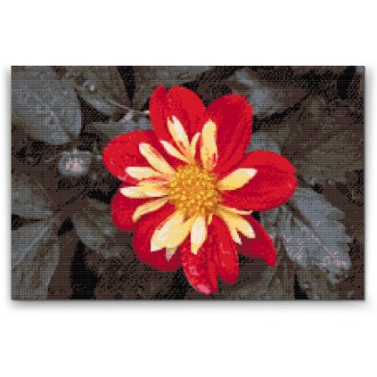 Diamond Painting - Red Flower