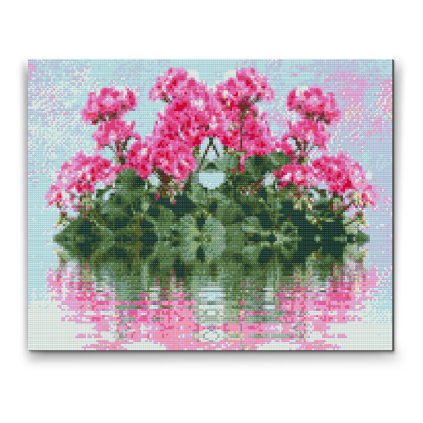 Diamond Painting - Geranium on Watter