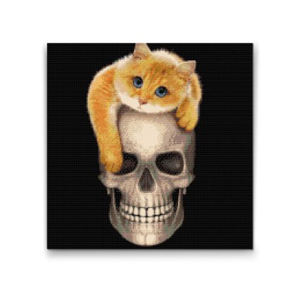 Diamond Painting - Kitty on a Skull