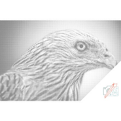 Dotting points - Eagle