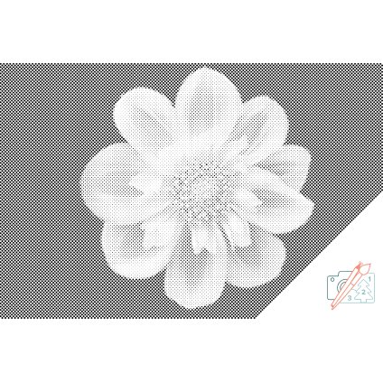 Dotting points - Head of Flower