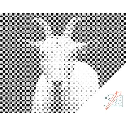 Dotting points - White Goat