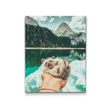 Diamond Painting - Pokee Hedgehog