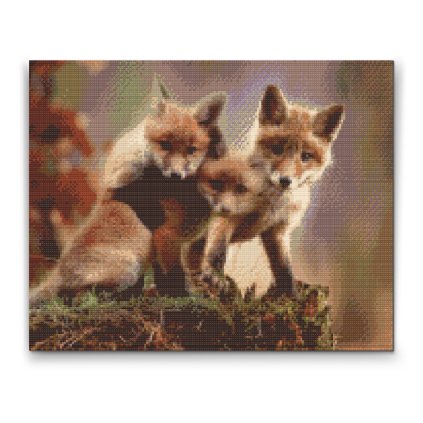 Diamond Painting - Fox Cub