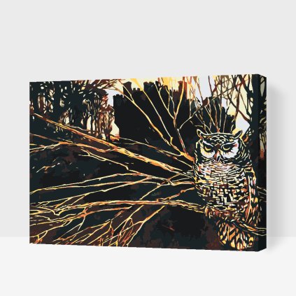 Paint by Number - Owl on a Branch in the Dark