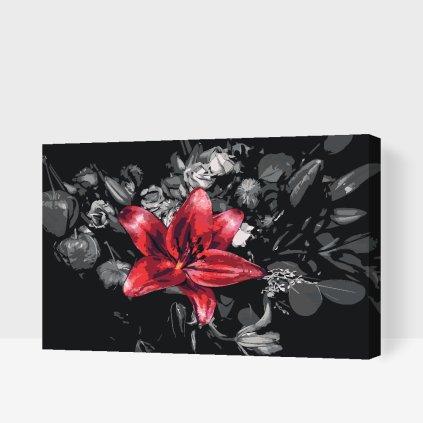 Paint by Number - Single Colored Flower