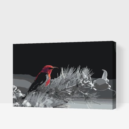 Paint by Number - Bird on a Twig