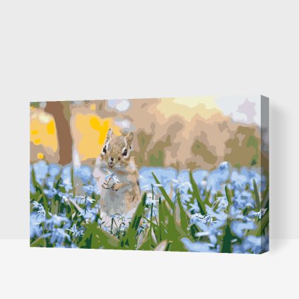 Paint by Number - Squirrel in the Garden