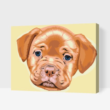 Paint by Number - Little Puppy