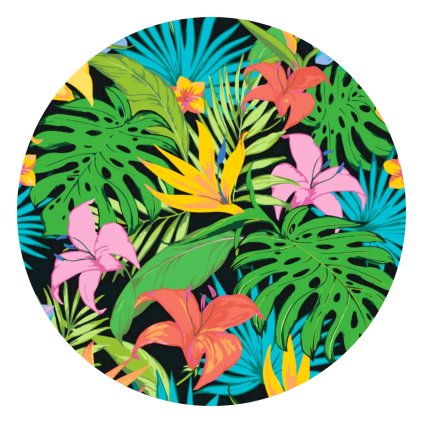 Paint by Number - Tropical Background 2