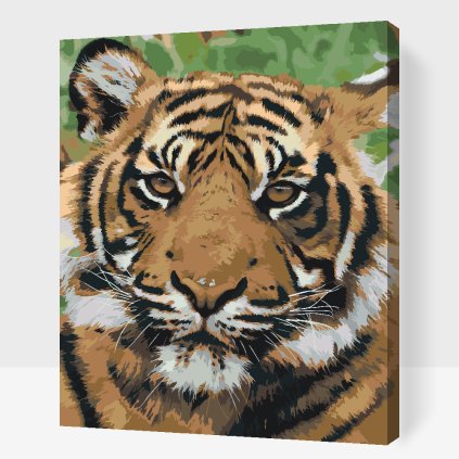 Paint by Number - Tiger Head 2