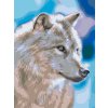 Paint by Number - Profile of Wolf