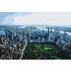 Paint by Number - Central Park, New York