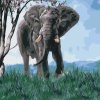 Paint by Number - Elephant in Nature