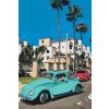 Paint by Number - Malibu Beetle