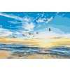 Paint by Number - Birds Flying over the Sea