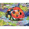 Paint by Number - Colorful Ladybug