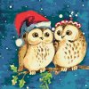 Paint by Number - Christmas Owls