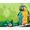 Paint by Number - Parrot and Flower