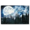 Diamond Painting - Full Moon over the Forest
