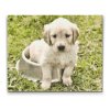 Diamond Painting - Labrador in Bowl