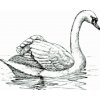 Diamond Painting - Swan in Lake