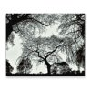 Diamond Painting - Silhouette of Trees