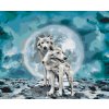 Paint by Number - White Wolves at the Full Moon