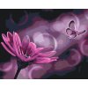 Paint by Number - Butterfly and Gerbera