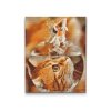 Diamond Painting - Cats View of a Goldfish