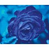 Diamond Painting - Blue Rose