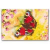 Diamond Painting - Peacock Eye Butterfly