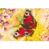 Diamond Painting - Peacock Eye Butterfly